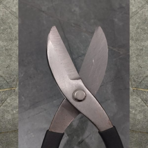 Aviator Snip 10"